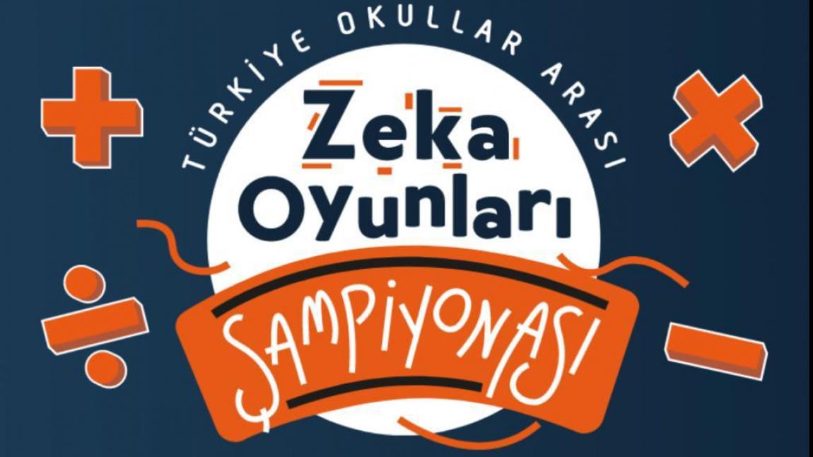 Türkiye Zeka Vakfı Tarafından Düzenlenen Türkiye Okullar Arası Zeka Oyunları Şampiyonası Finalleri